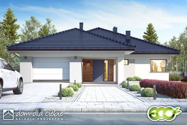 visualizations 1
