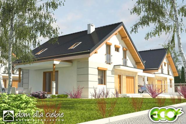 Nowinka bliźniak A1-BL1