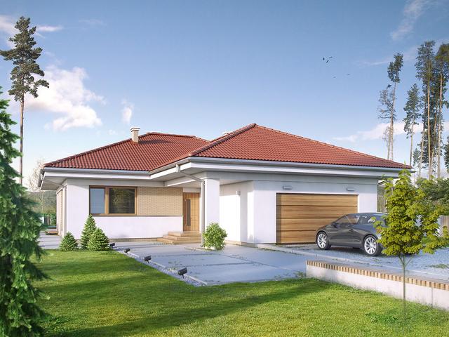 Kiwi 3 (CE)