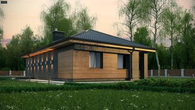 visualizations 1