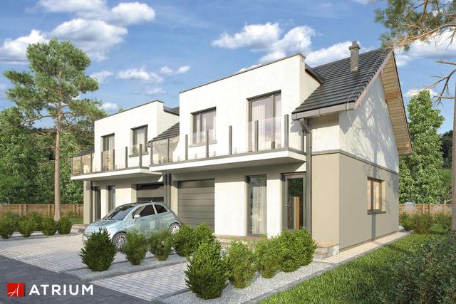 Double House III