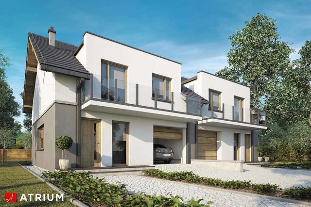 Double House VI