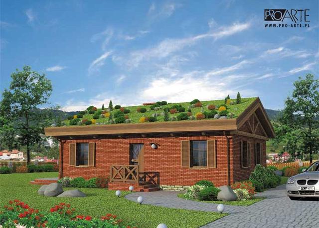 EL PINAR dom z zielonym dachem