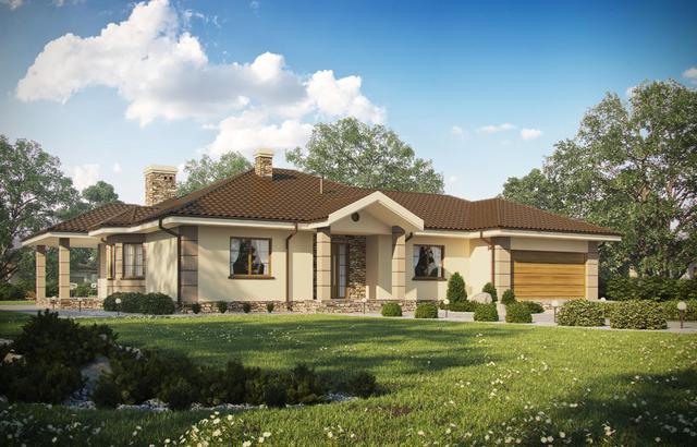 D172 - Zbigniew z garażem WT2021