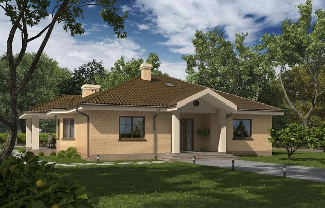 D172 - Zbigniew z piwnicą WT2021