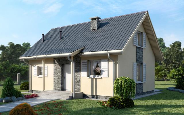 D67 - Paulinka wersja drewniana WT2021