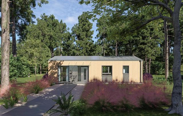 DM2 - WT2021 wersja drewniana