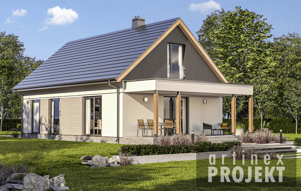 D321 projekt domu z adaptacja