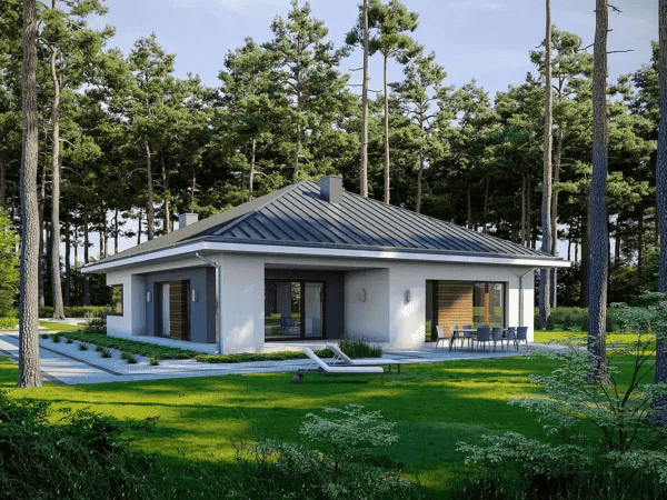 Wizualizacja domu jednorodzinnego NATURALNY D60