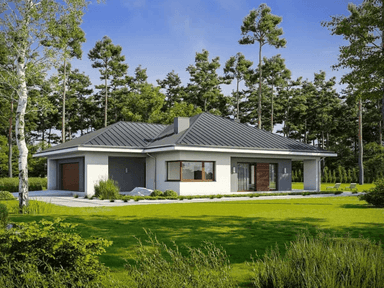 Wizualizacja domu jednorodzinnego NATURALNY D60