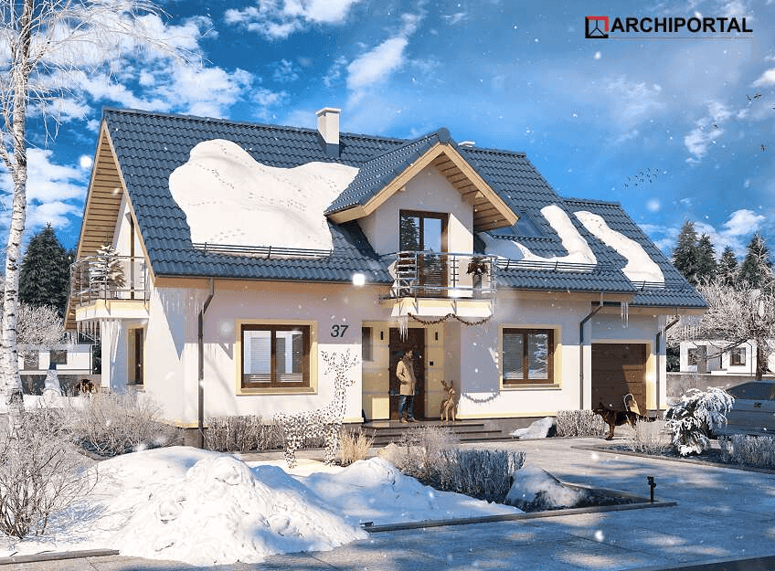 Wizualizacja domu jednorodzinnego Amant II