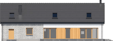 Elewacja tylna domu jednorodzinnego Nero