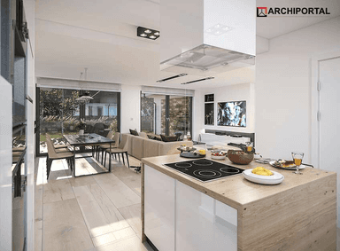 Wizualizacja domu jednorodzinnego Pandora