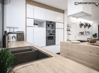 Wizualizacja domu jednorodzinnego Pandora