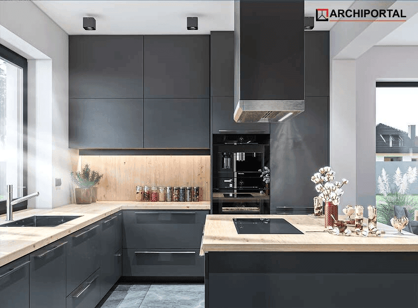 Wizualizacja domu jednorodzinnego Tanis 3