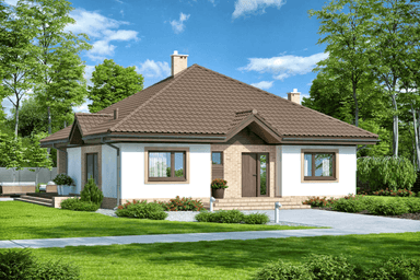 wizualizacja domu jednorodzinnego Aframon