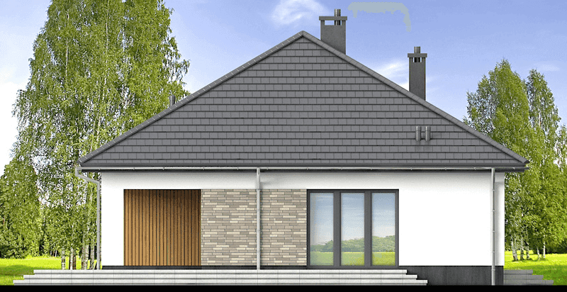 Elewacja tylna domu jednorodzinnego Aloes