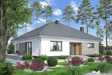 Wizualizacja domu jednorodzinnego Aloes 3