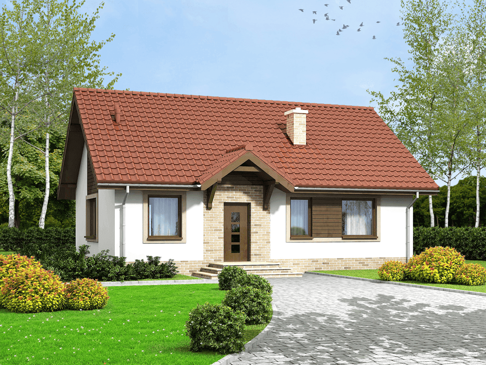Wizualizacja domu jednorodzinnego Arnika