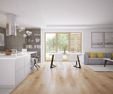 Wizualizacja domu jednorodzinnego Bianco 2 modern