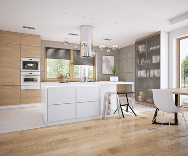 Wizualizacja domu jednorodzinnego Bianco 2 modern