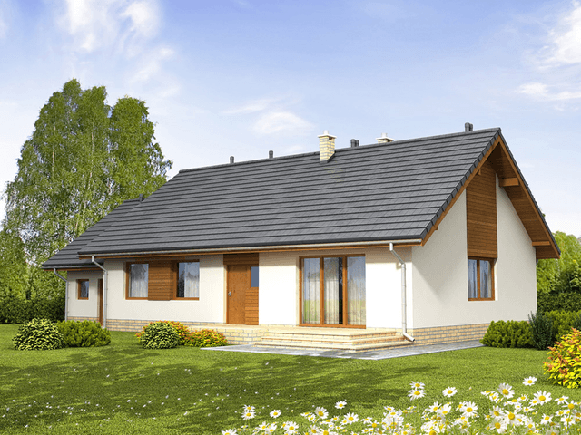 Wizualizacja domu jednorodzinnego Bianco G1