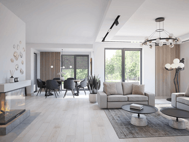 Wizualizacja domu jednorodzinnego Fresco 2