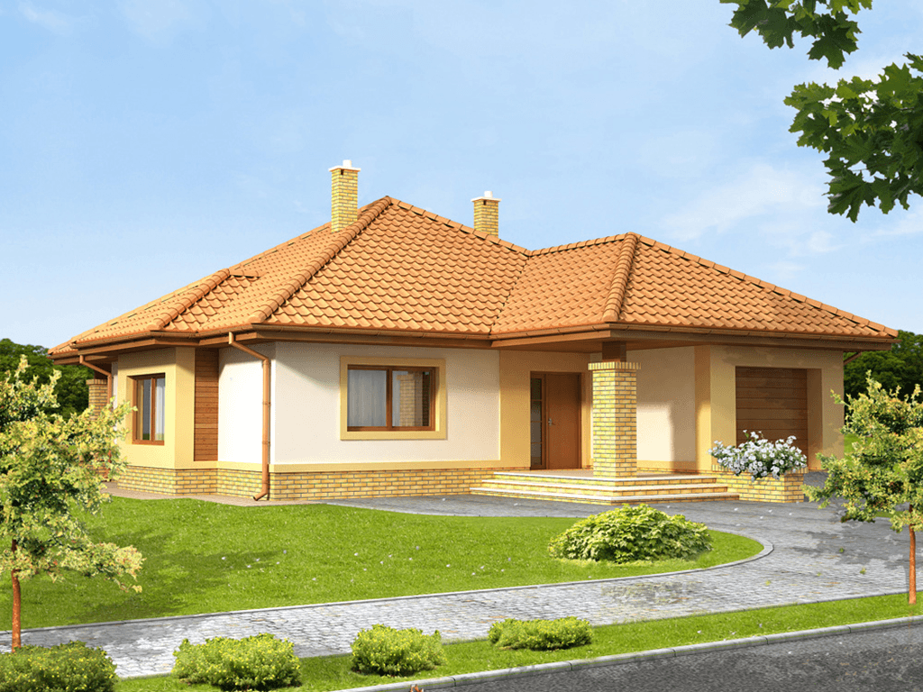 Wizualizacja domu jednorodzinnego Imbir