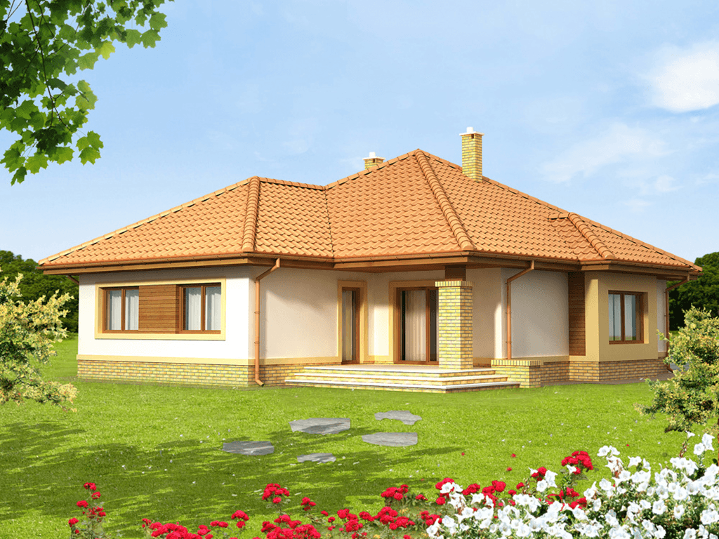 Wizualizacja domu jednorodzinnego Imbir