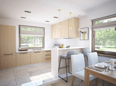 Wizualizacja domu jednorodzinnego Irys