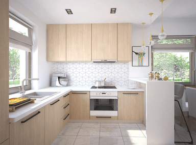 Wizualizacja domu jednorodzinnego Irys