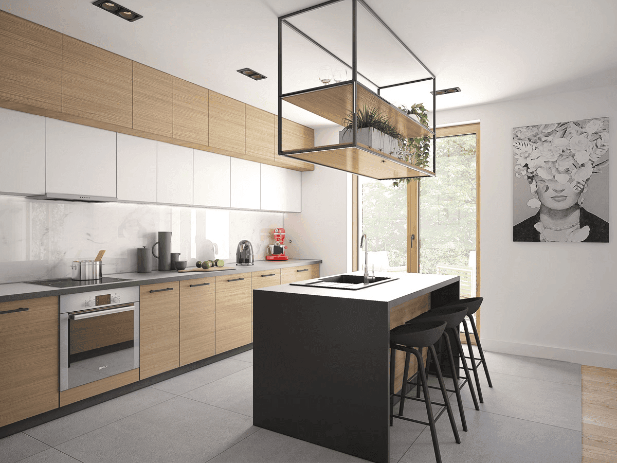 wizualizacja domu jednorodzinnego Lungo 6