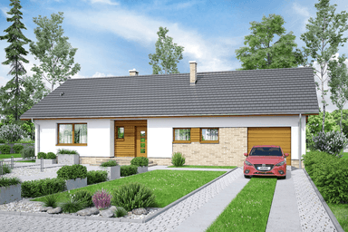 Wizualizacja domu jednorodzinnego Mokka 14