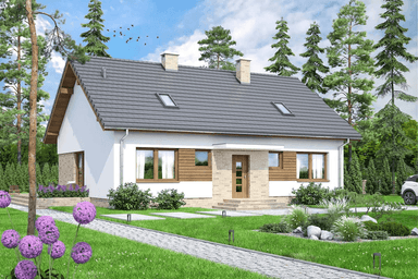 Wizualizacja domu jednorodzinnego Mokka 15