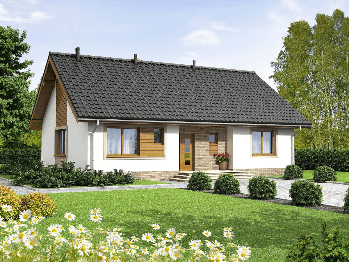 Wizualizacja domu jednorodzinnego Mokka 2