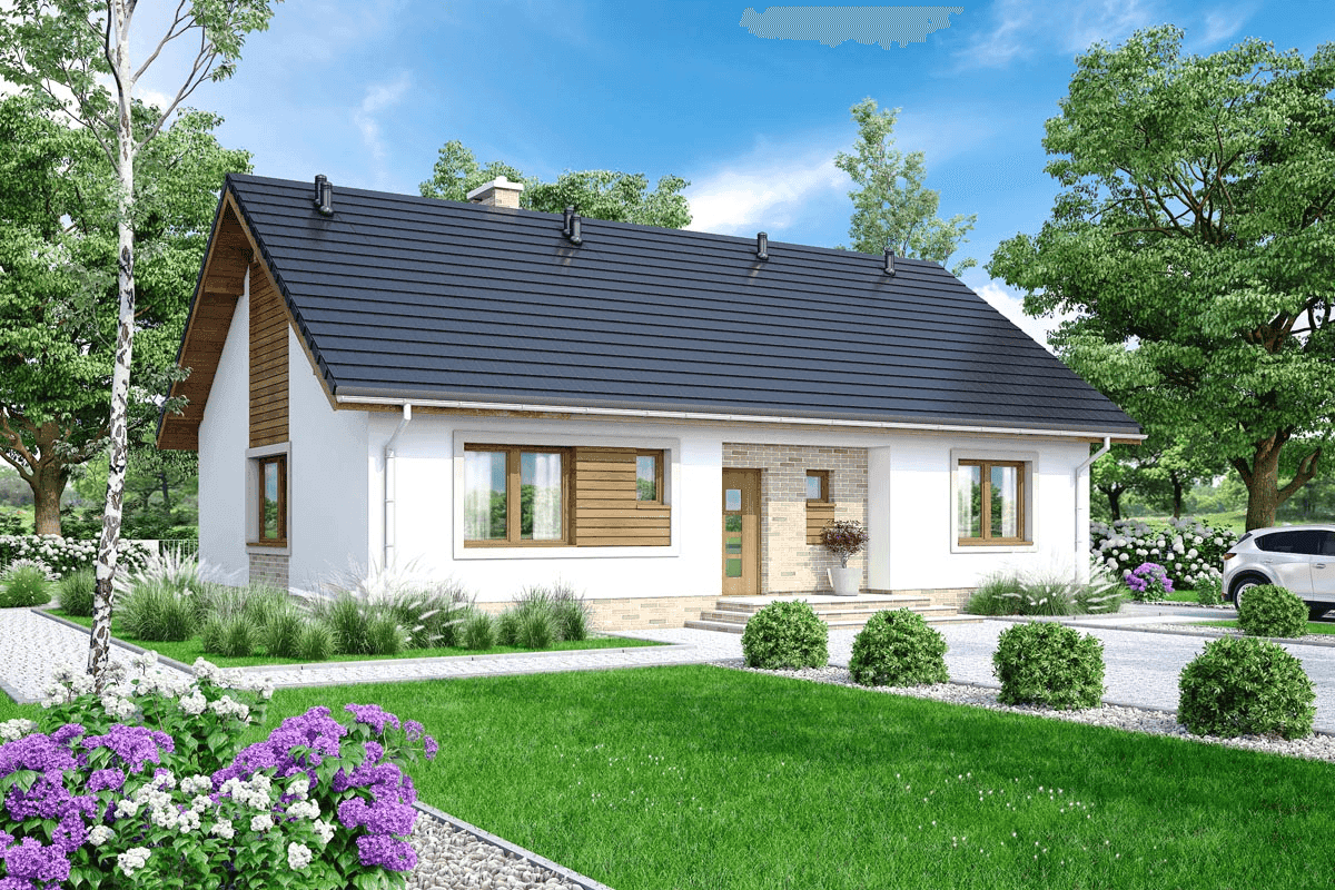 Wizualizacja domu jednorodzinnego Mokka