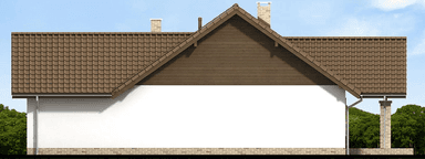 Elewacja prawa domu jednorodzinnego Mokka 9