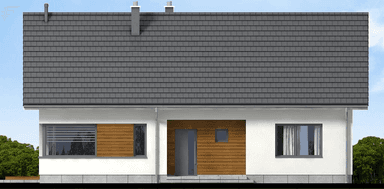 Elewacja tylna domu jednorodzinnego Mokka Modern