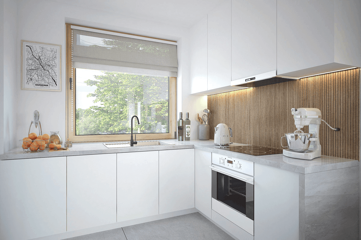 Wizualizacja domu jednorodzinnego Monte 4