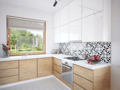 Wizualizacja domu jednorodzinnego Monte 5