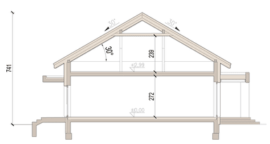 Przekrój domu jednorodzinnego Papaja