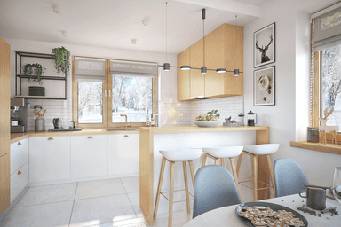 wizualizacja domu jednorodzinnego Rodzimek