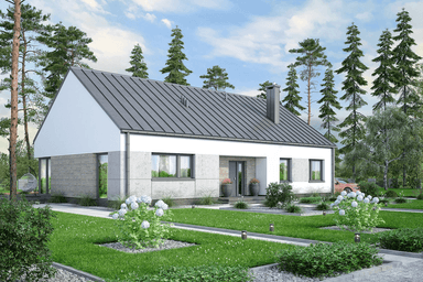 Wizualizacja domu jednorodzinnego Solido 2