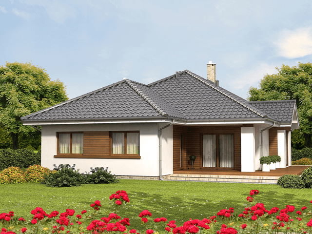 Wizualizacja domu jednorodzinnego Szafran 2