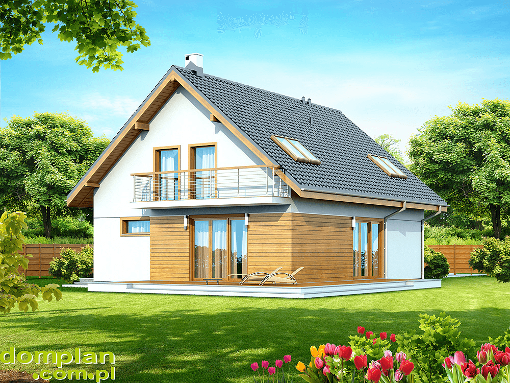 Wizualizacja domu jednorodzinnego Diona Bis