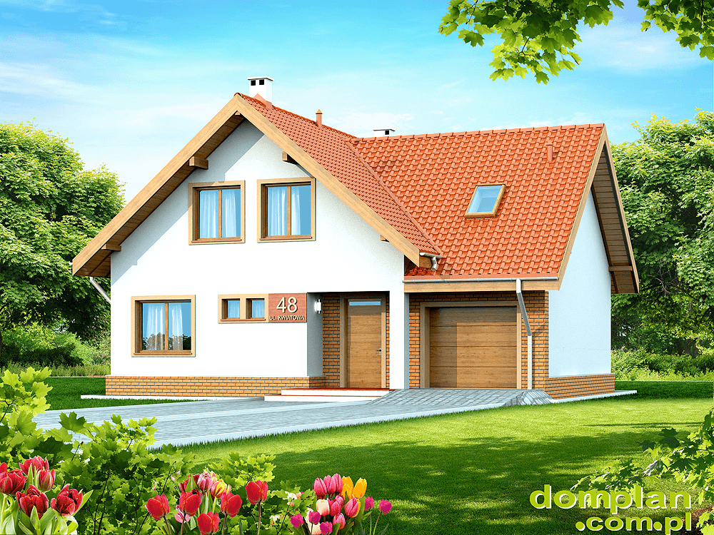 Wizualizacja domu jednorodzinnego Noelia