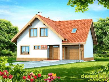 Wizualizacja domu jednorodzinnego Noelia