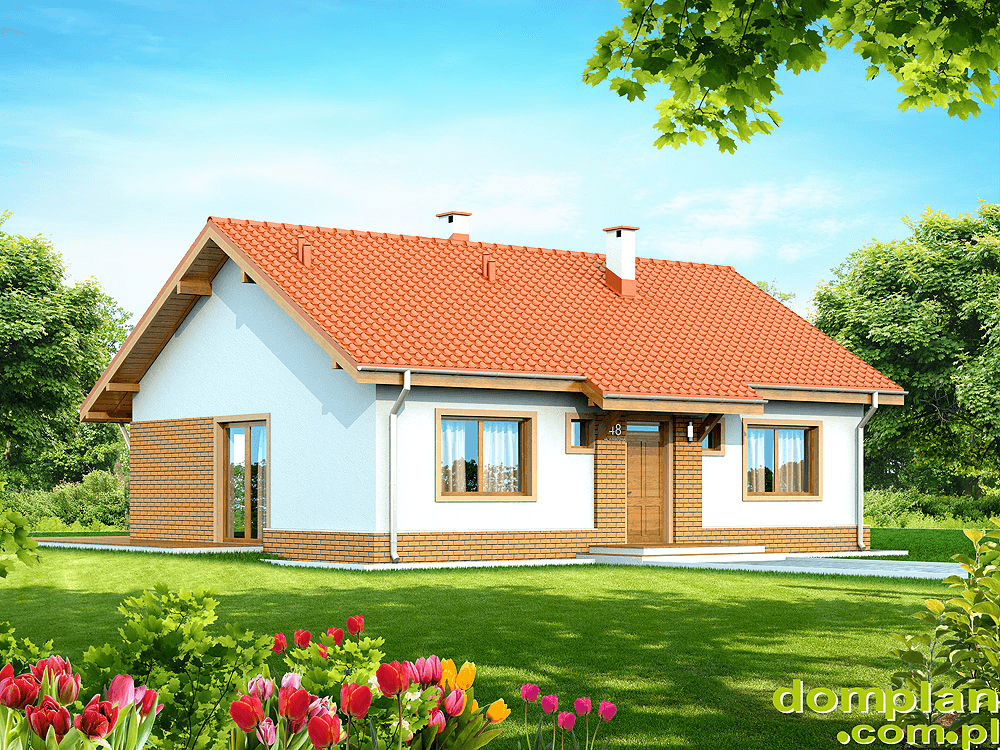 Wizualizacja domu jednorodzinnego Santia