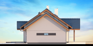 Elewacja boczna domu Saratoga 1M