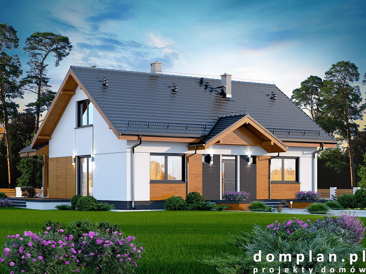 Wizualizacja domu jednorodzinnego Saratoga